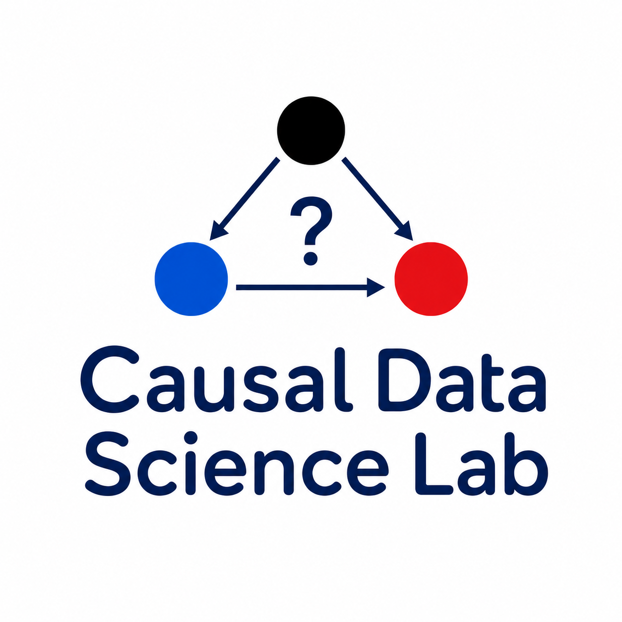 Causal Data Science Lab logo